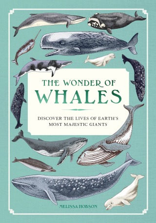 The Wonder of Whales