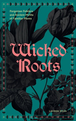 Wicked Roots