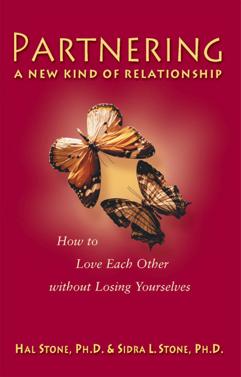 Cover image for book Partnering