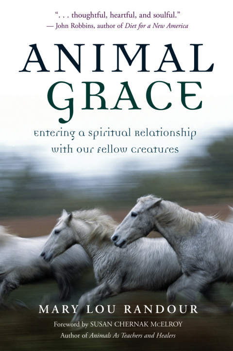Cover image for book Animal Grace