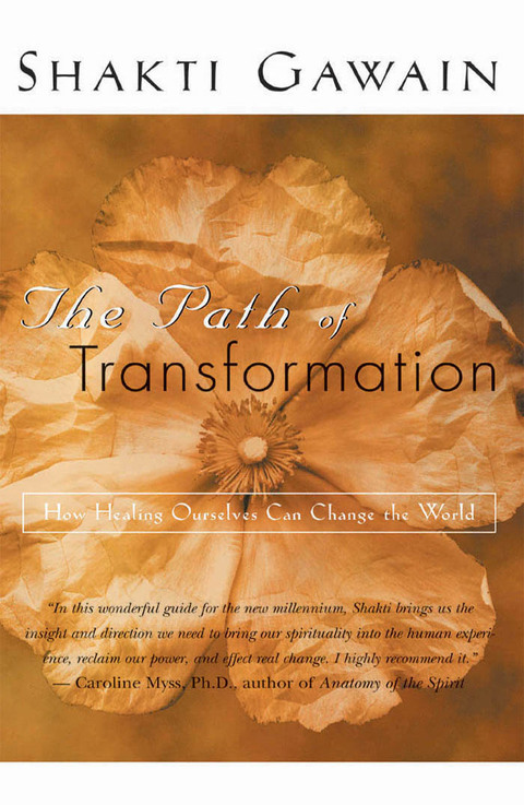 Cover image for book The Path of Transformation