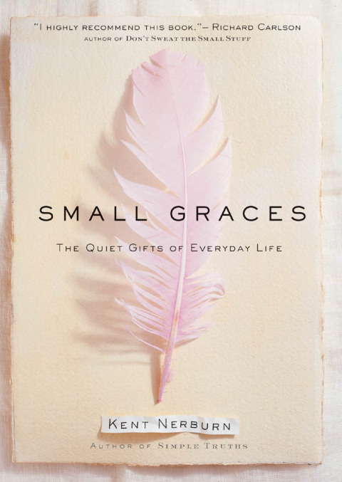 Cover image for book Small Graces