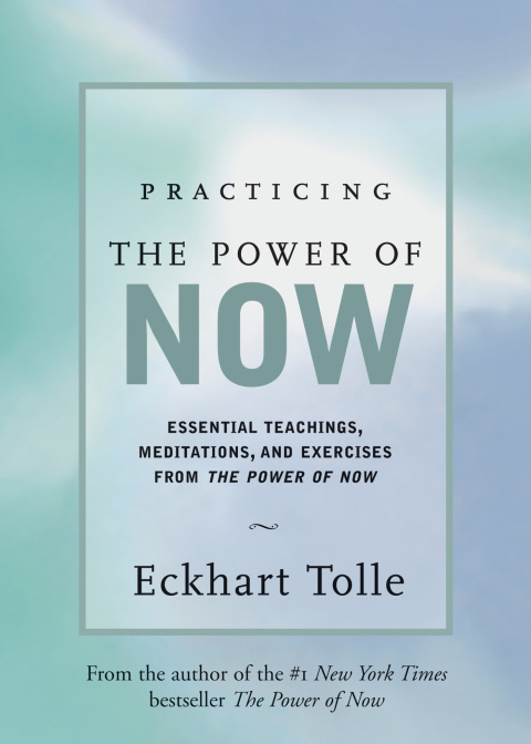 Cover image for book Practicing the Power of Now