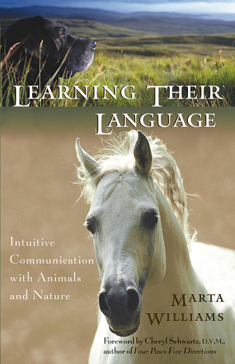 Cover image for book Learning Their Language