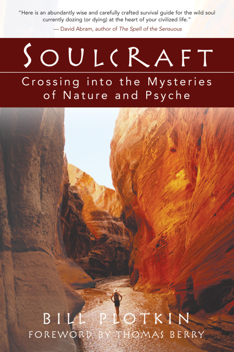 Cover image for book Soulcraft