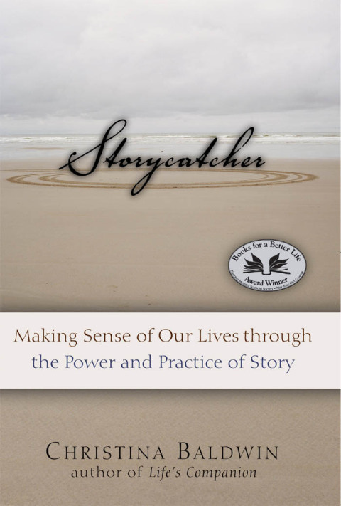 Cover image for book Storycatcher