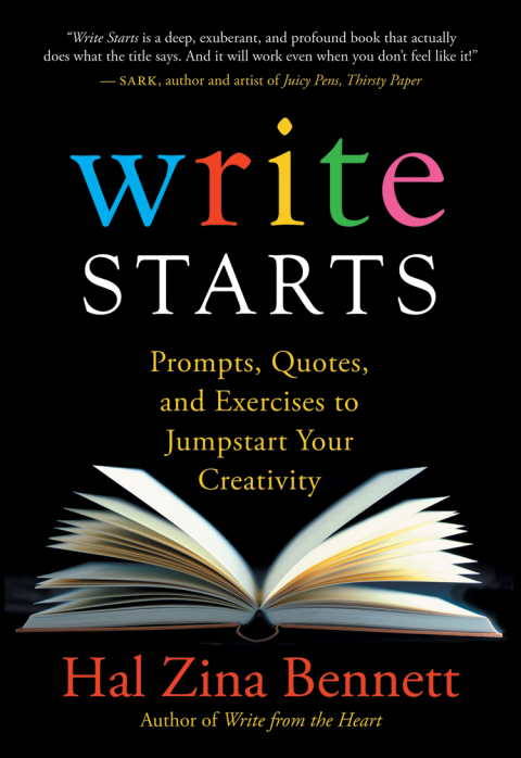 Cover image for book Write Starts
