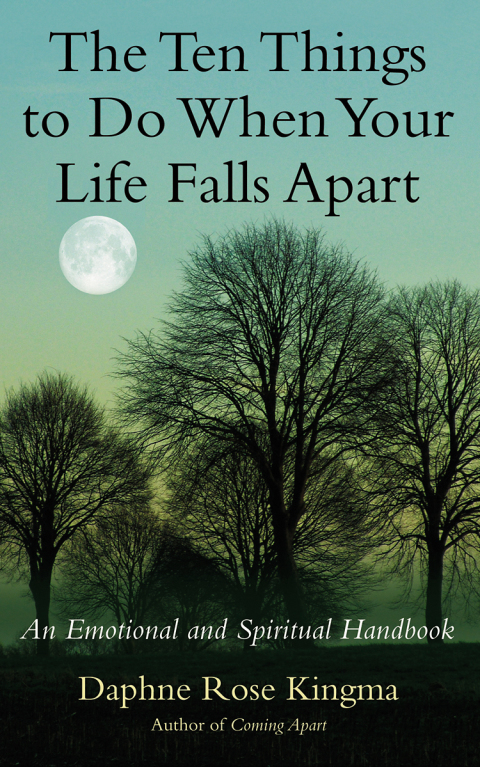 Cover image for book The Ten Things to Do When Your Life Falls Apart