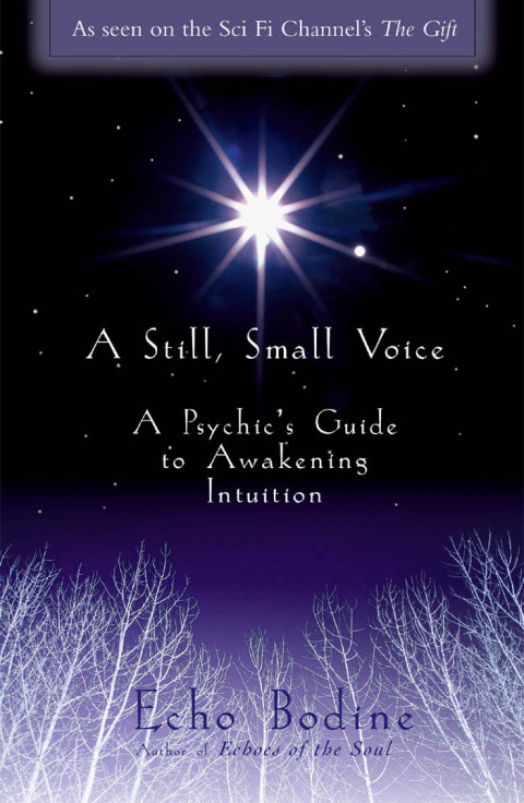 Cover image for book A Still, Small Voice