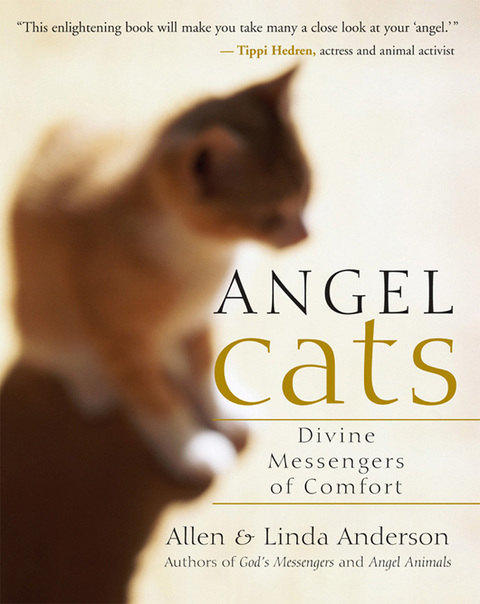 Angel Cats 