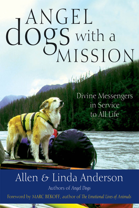 Cover image for book Angel Dogs with a Mission