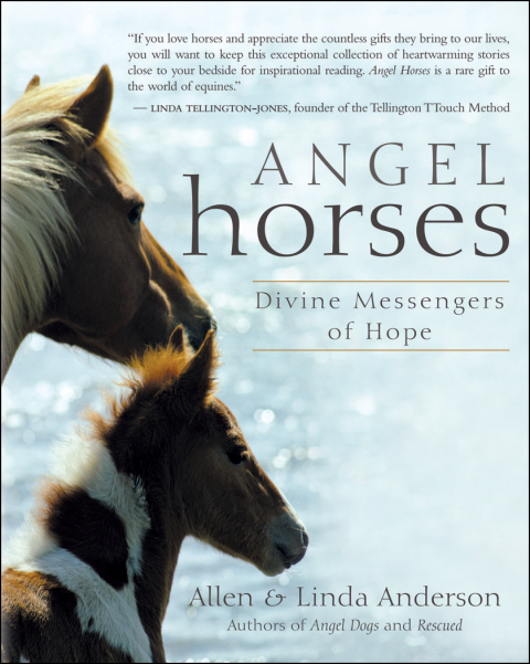Cover image for book Angel Horses