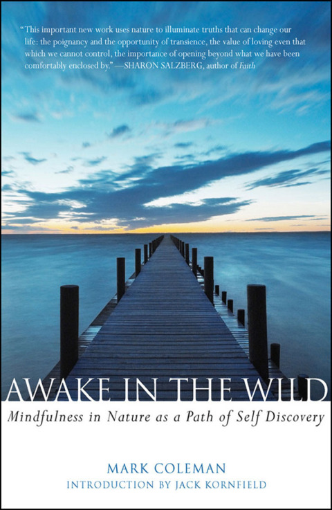Cover image for book Awake in the Wild