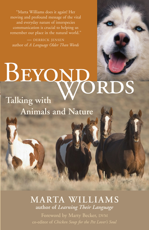 Cover image for book Beyond Words