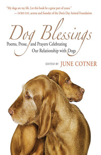 صورة الغلاف: Dog Blessings 9781577316169