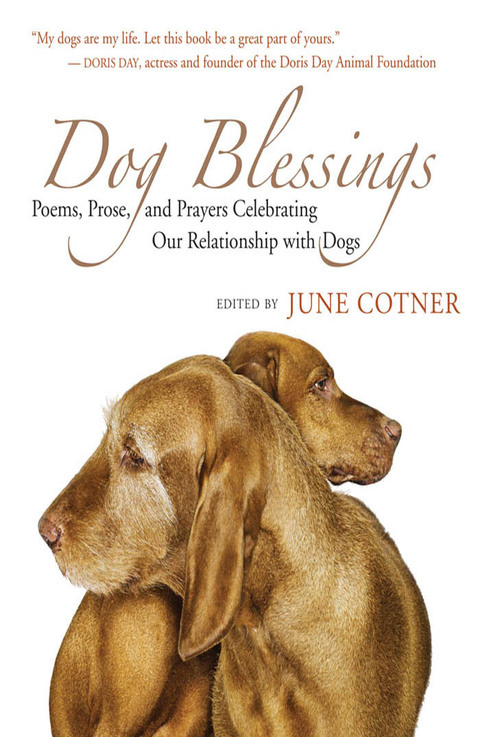 Cover image for book Dog Blessings
