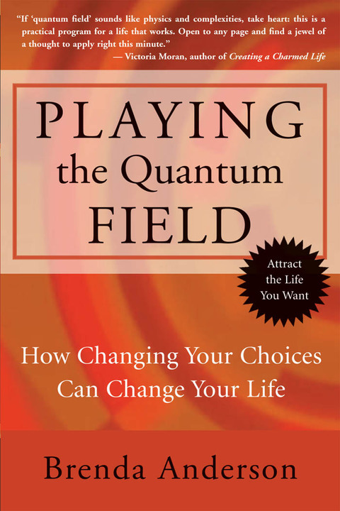 Cover image for book Playing the Quantum Field