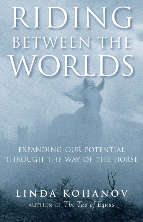 Cover image for book Riding Between the Worlds