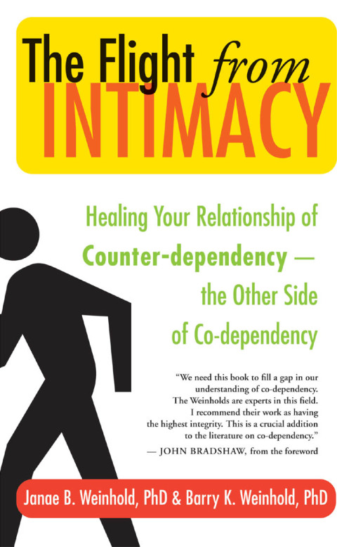 Cover image for book The Flight from Intimacy