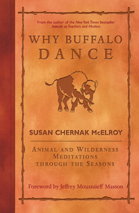 Cover image: Why Buffalo Dance 9781577315421