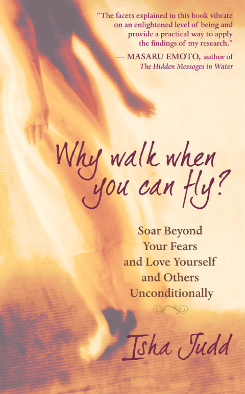 Cover image for book Why Walk When You Can Fly
