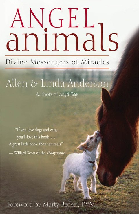 Cover image for book Angel Animals
