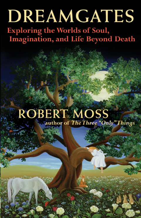 Cover image for book Dreamgates