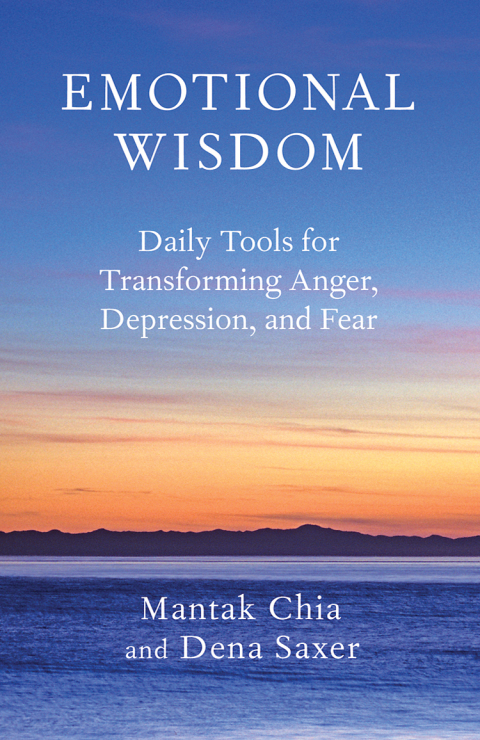 Cover image for book Emotional Wisdom