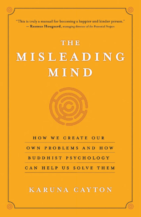 Cover image for book The Misleading Mind