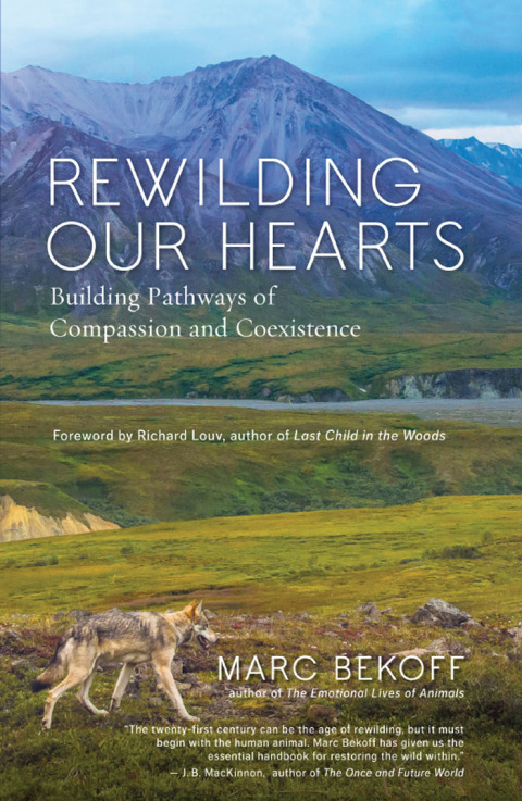 Cover image for book Rewilding Our Hearts