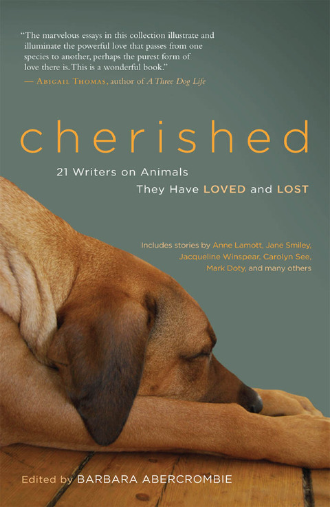 Cover image for book Cherished