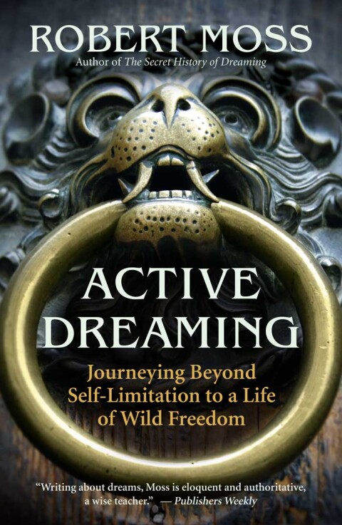 Cover image for book Active Dreaming