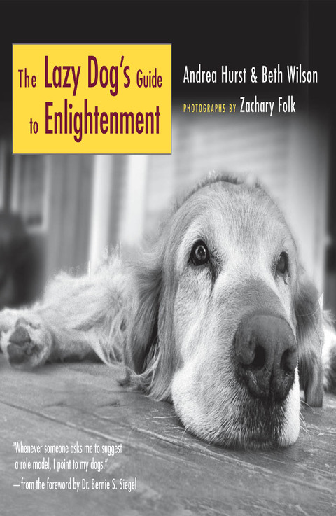 Cover image for book The Lazy Dog's Guide to Enlightenment