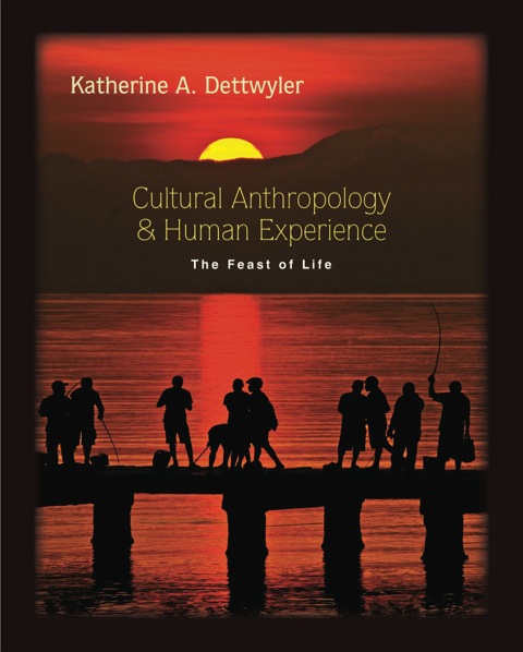 Cover image for book Cultural Anthropology and Human Experience: The Feast of Life