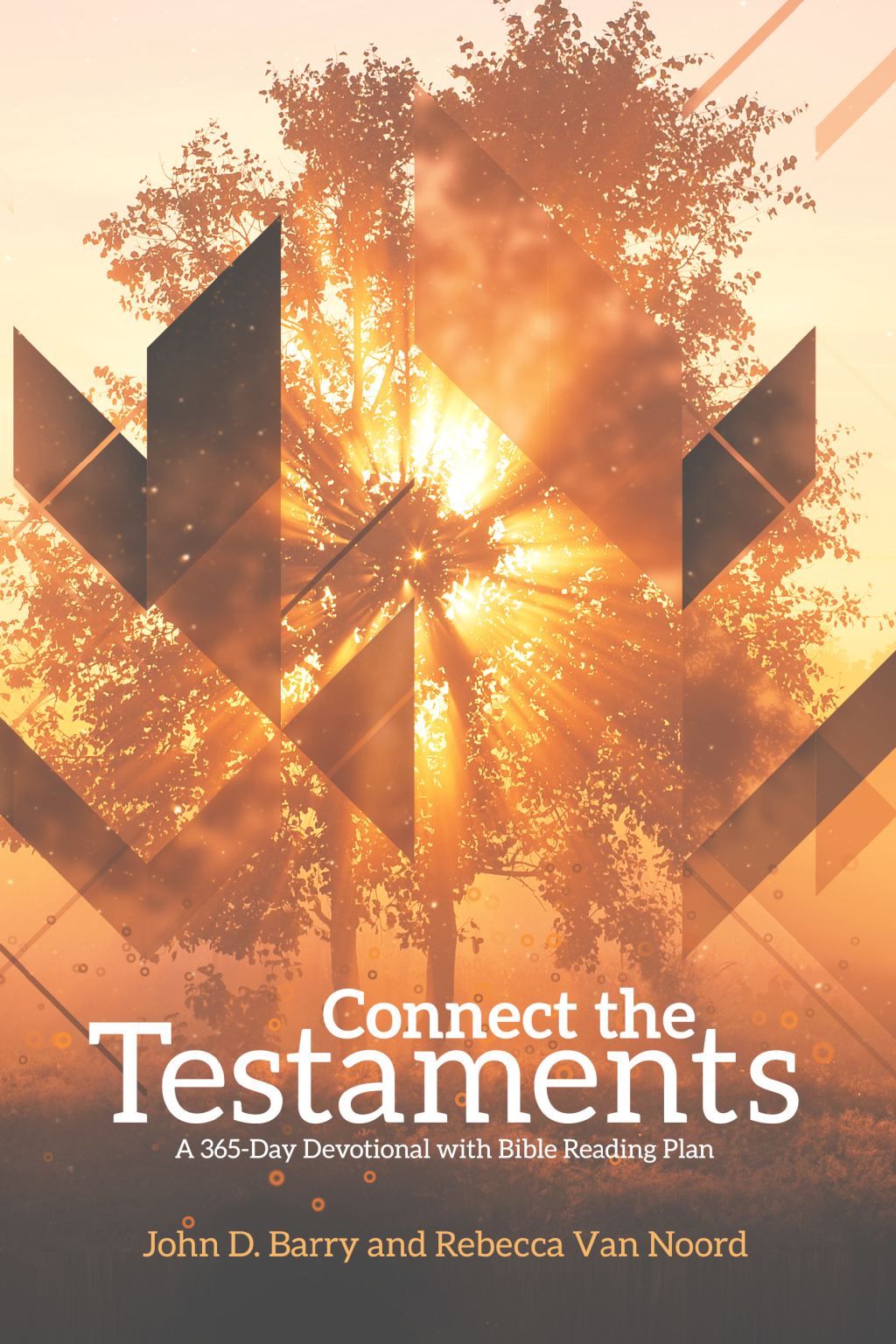 Reflowable Connect the Testaments; $23.31