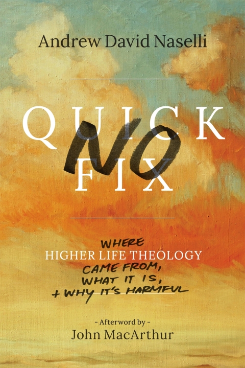 Cover image for book No Quick Fix