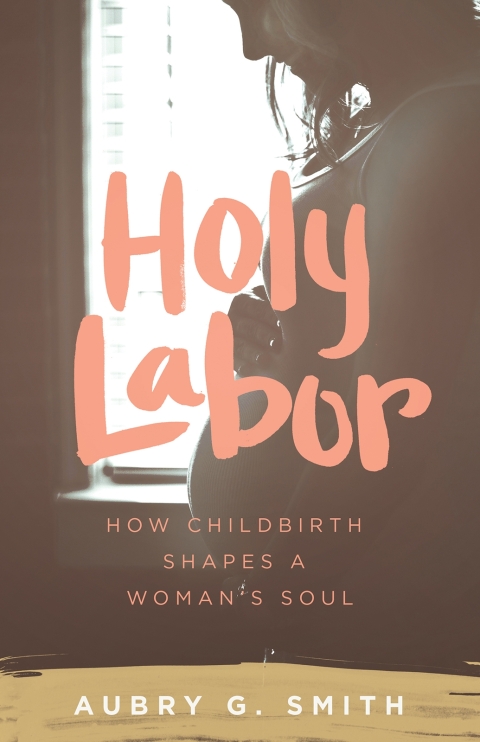 Cover image for book Holy Labor