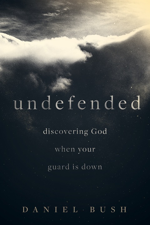 Cover image for book Undefended