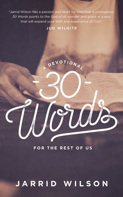 Cover image for book 30 Words