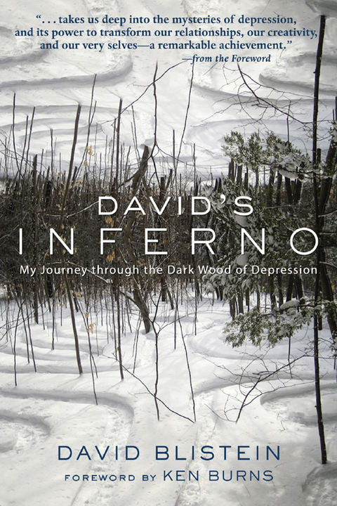 Cover image for book David's Inferno