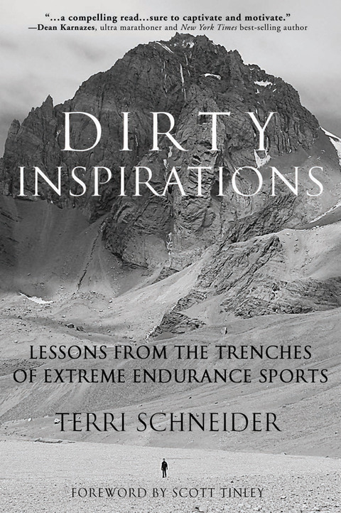 Cover image for book Dirty Inspirations