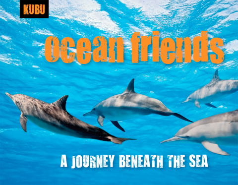 Cover image for book Ocean Friends