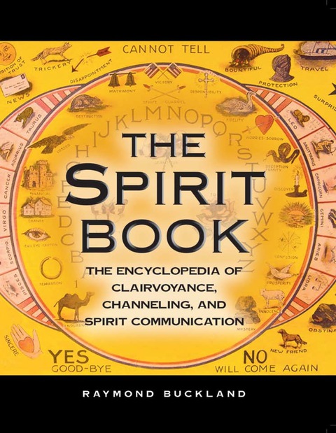 Cover image for book The Spirit Book
