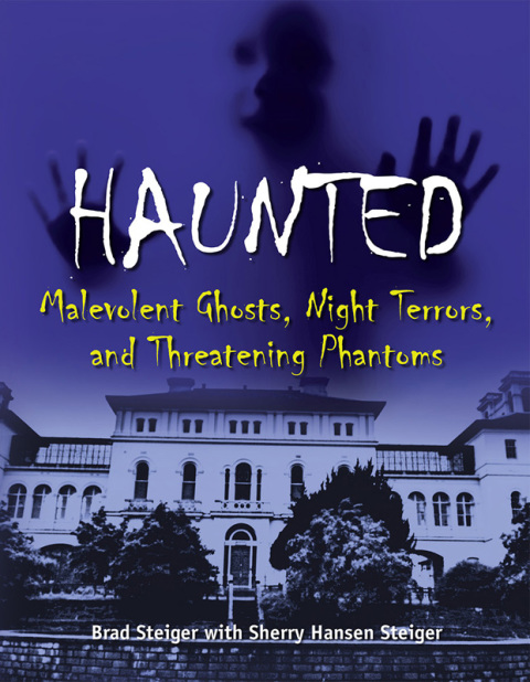 Cover image for book Haunted