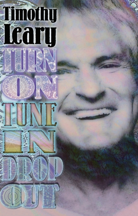 Cover image for book Turn On, Tune In, Drop Out