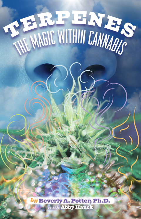 Cover image for book Terpenes