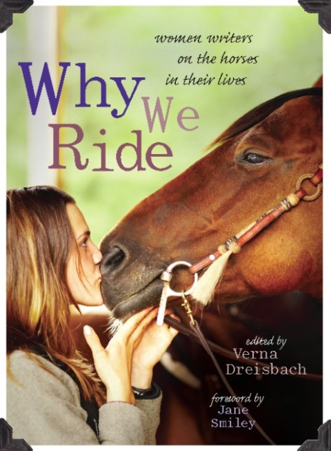 Cover image for book Why We Ride