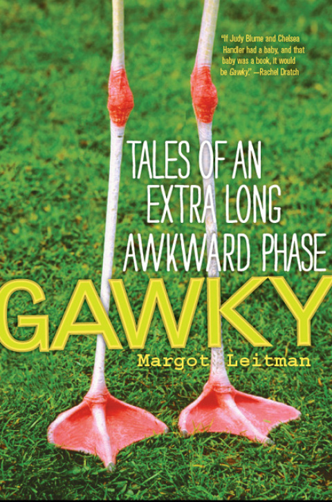 Cover image for book Gawky
