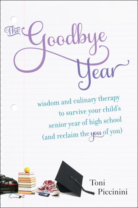 Cover image for book The Goodbye Year