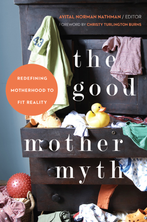 Cover image for book The Good Mother Myth